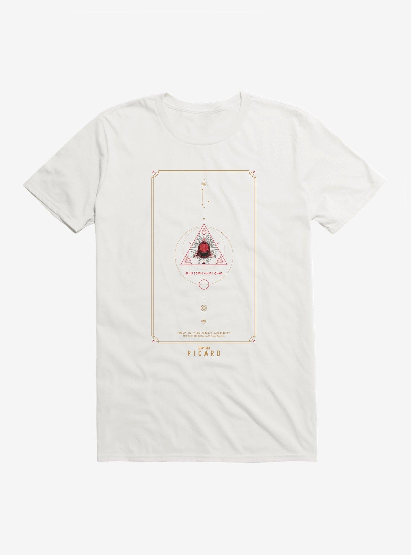 Star Trek: Picard Now Is The Only Moment T-Shirt